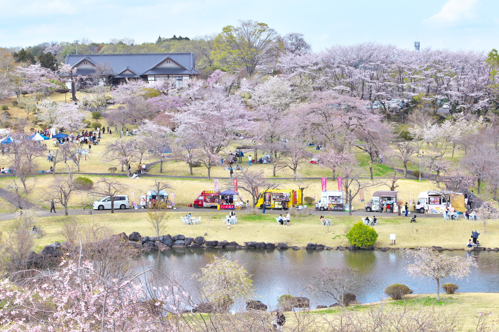 花彩祭♪5