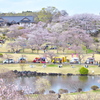 花彩祭♪5