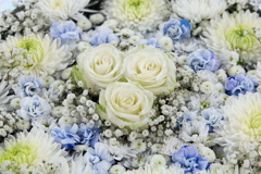 花手水♪2