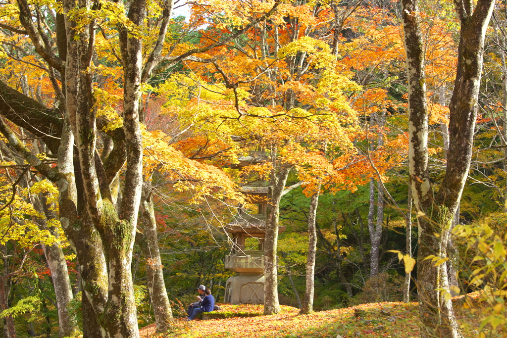 紅葉・古峯園♪3