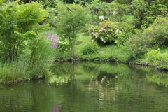 自然園の夏♪3