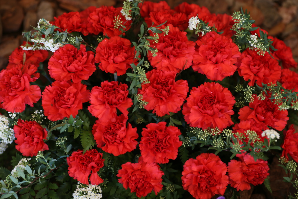 ありがとうの気持ち♪4