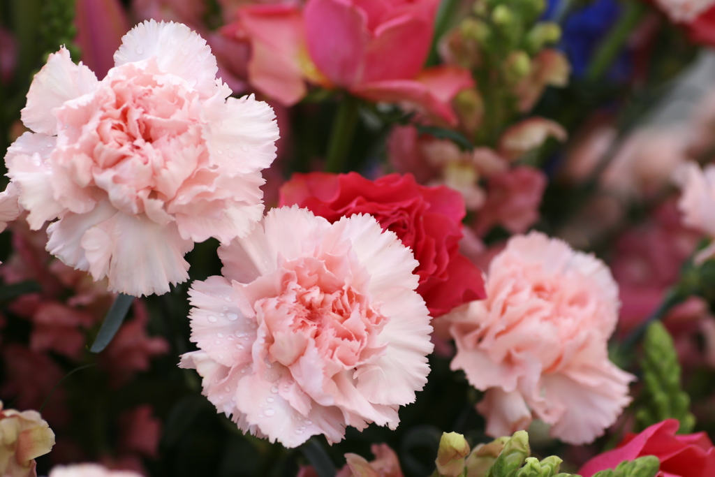 ありがとうの気持ち♪3