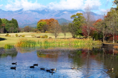 紅葉日光・だいや川公園♪1