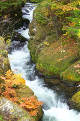 奥日光・紅葉の頃♪3