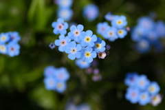 はないろ2019♪15