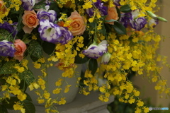 微笑みの花たち♪10