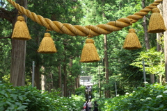 紫陽花・磯山神社♪10