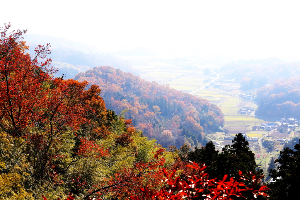 晩秋の唐沢山♪９