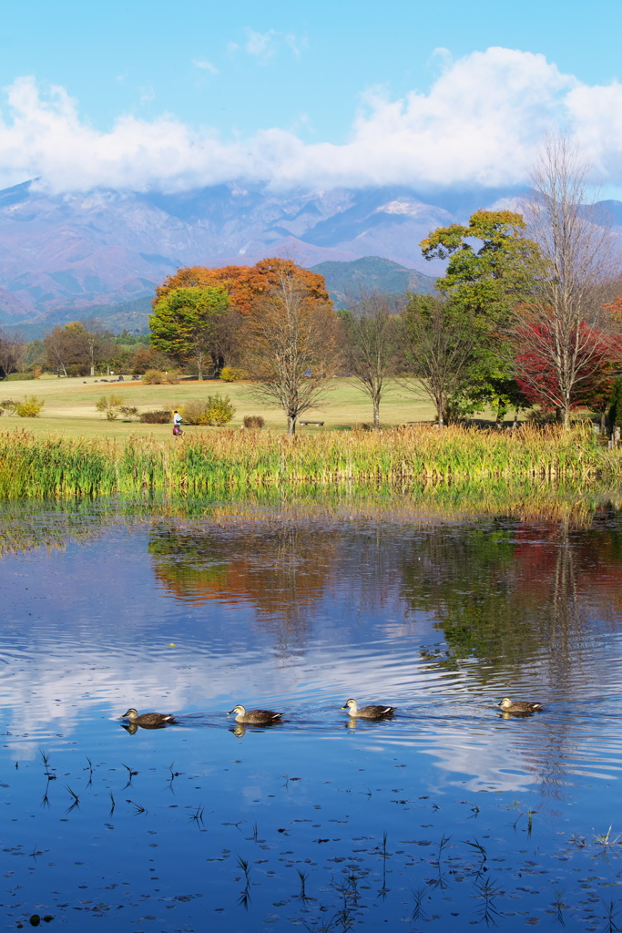 紅葉日光・だいや川公園♪2