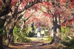 紅葉の頃・赤見フィッシングセンター♪3