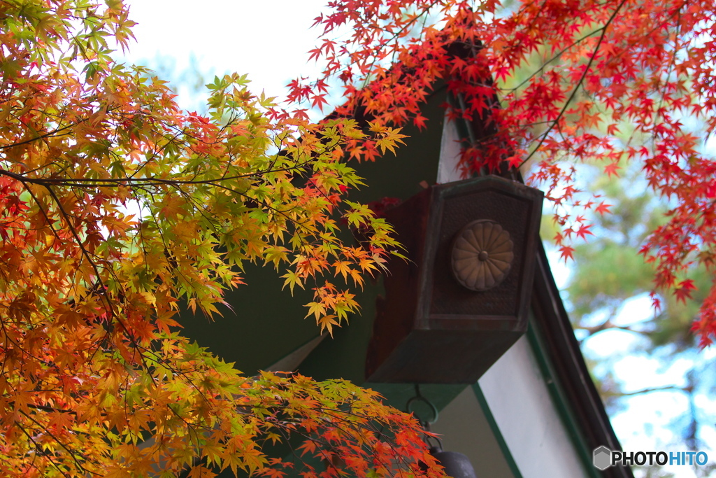 崇禅寺の秋