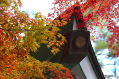 崇禅寺の秋