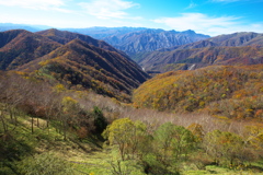 紅葉日光・半月山より♪2