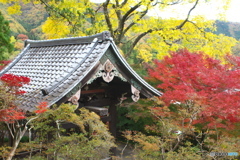 崇禅寺の秋Ⅱ