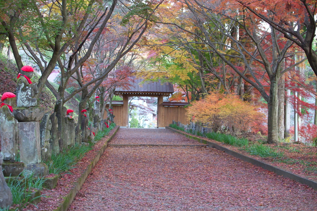 紅葉の頃♪金蔵院♪3