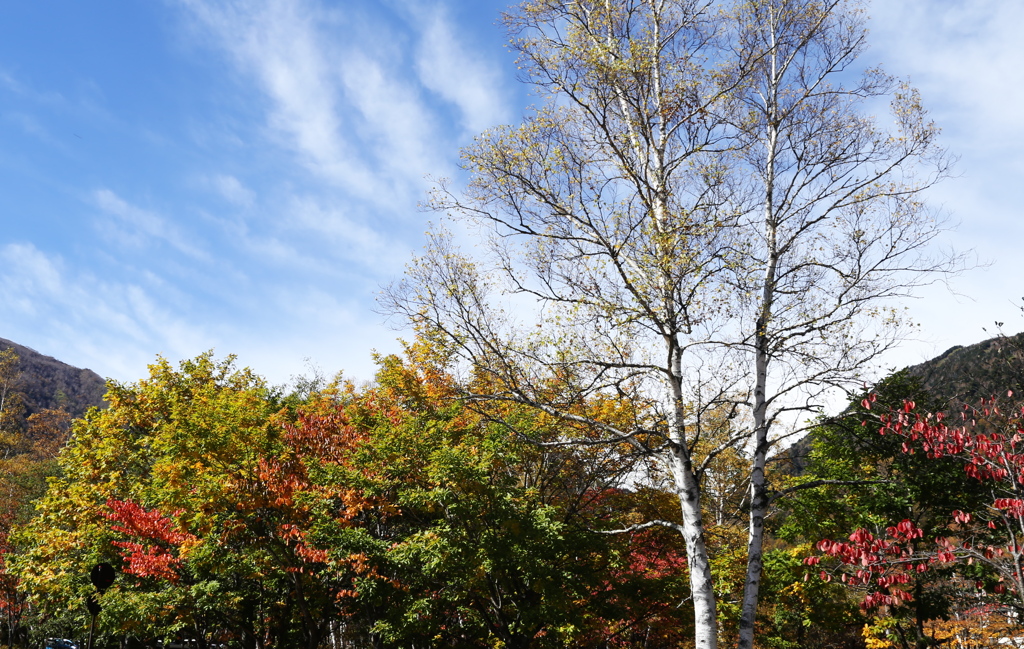 紅葉・奥日光♪14