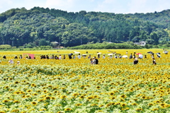 あの夏の日♪1