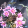 花木センターにて♪