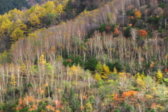 日光・紅葉の頃♪13