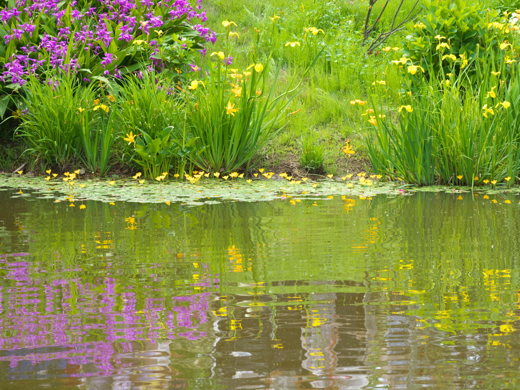 ある春の日のフラワーパーク♪３