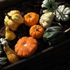 HAPPY HALLOWEEN♪３