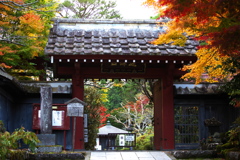浄光寺の秋♪３