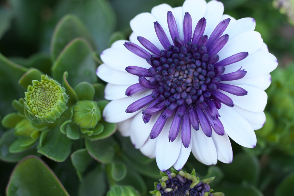 春ですね～♪10