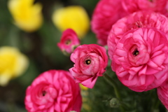 春がいっぱい♪14