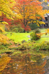 紅葉の頃・田母沢御用邸記念公園♪9