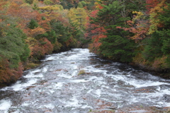 奥日光・紅葉の頃♪6