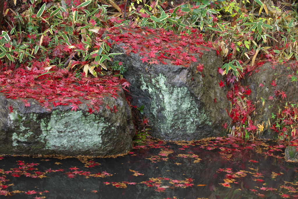 崇禅寺・紅葉の頃♪3