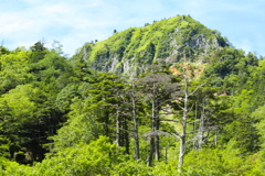 日光の山♪