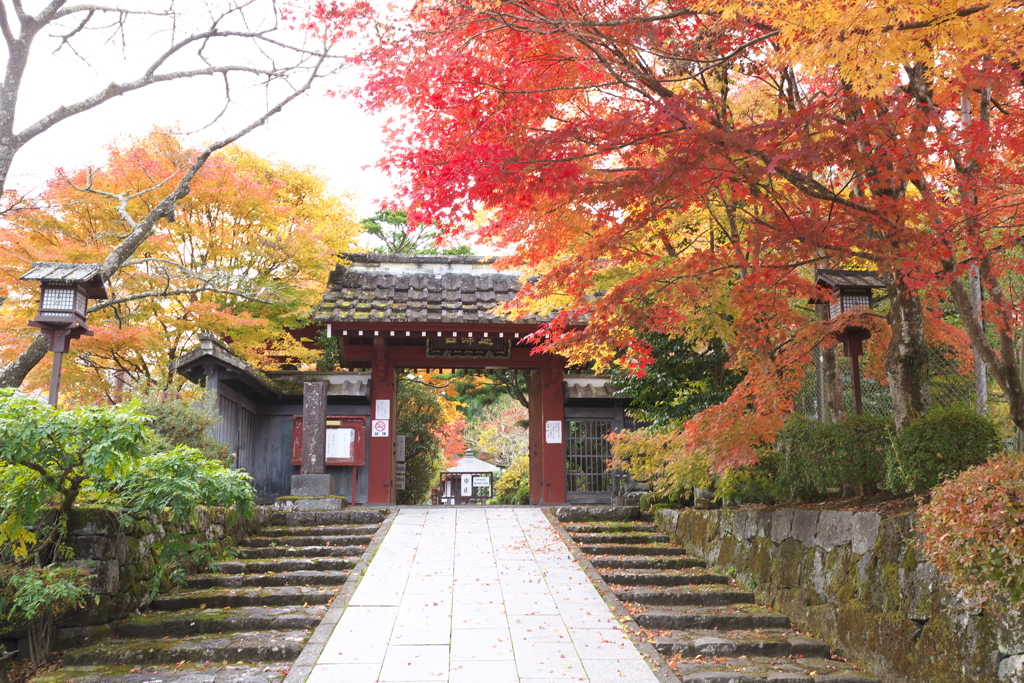 紅葉日光・浄光寺♪5