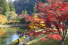 紅葉・古峯園♪2