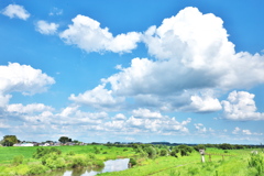 夏の静かな渡良瀬川・・雲が綺麗です♪1