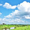 夏の静かな渡良瀬川・・雲が綺麗です♪1