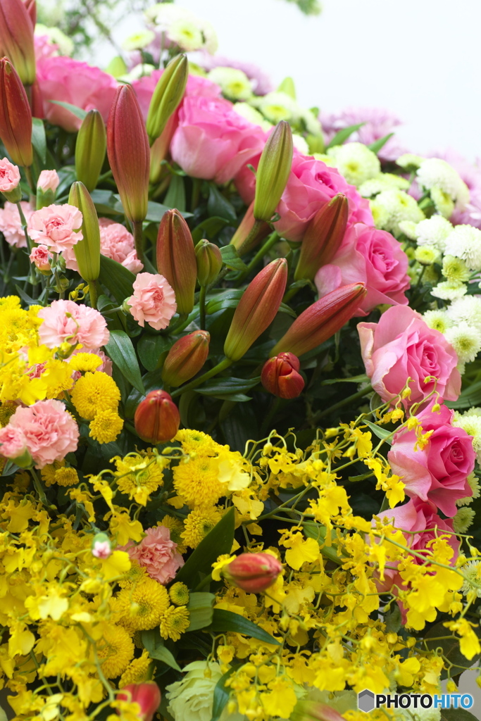 微笑みの花たち♪18