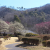 梅香る万葉庭園♪5