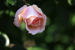 さよならを言う前に♪2