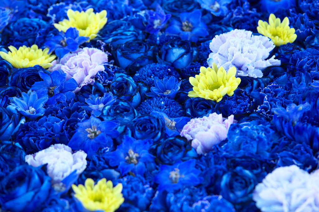 初春の花手水♪2