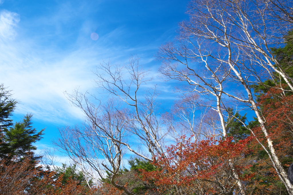 紅葉日光・半月山より♪4