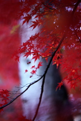 紅葉・富弘美術館周辺♪2