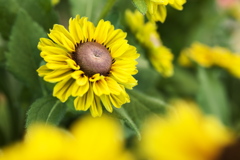 思い出になる前に♪2