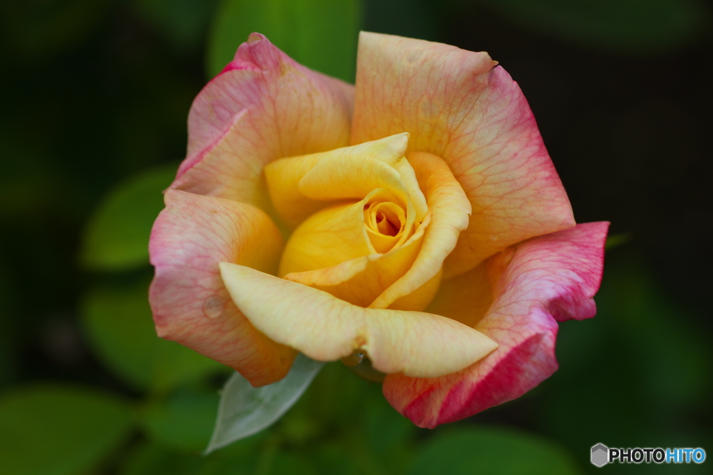 フラワーパークにて♪