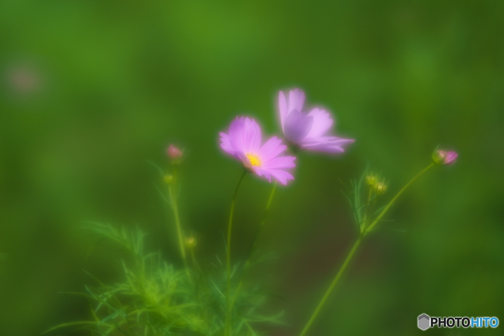 秋の始まりの頃♪18
