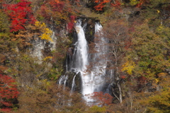 霧降の滝♪1