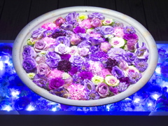 光の花手水♪7