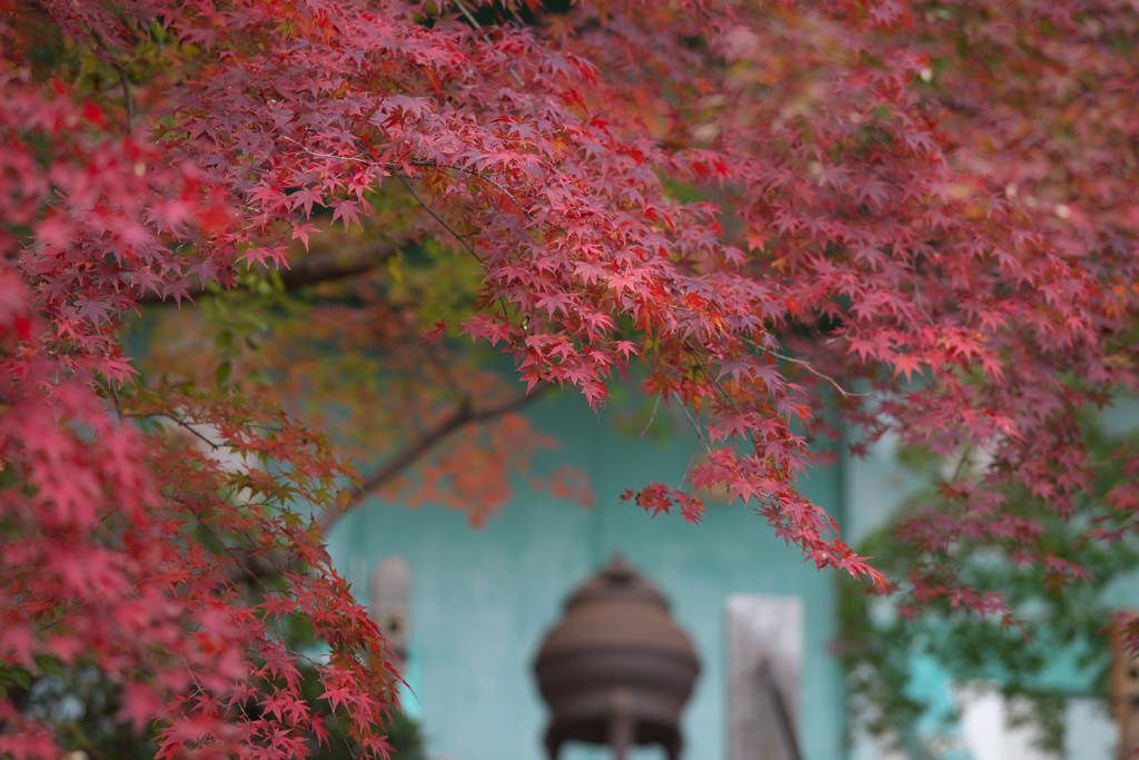 崇禅寺・紅葉の頃♪1
