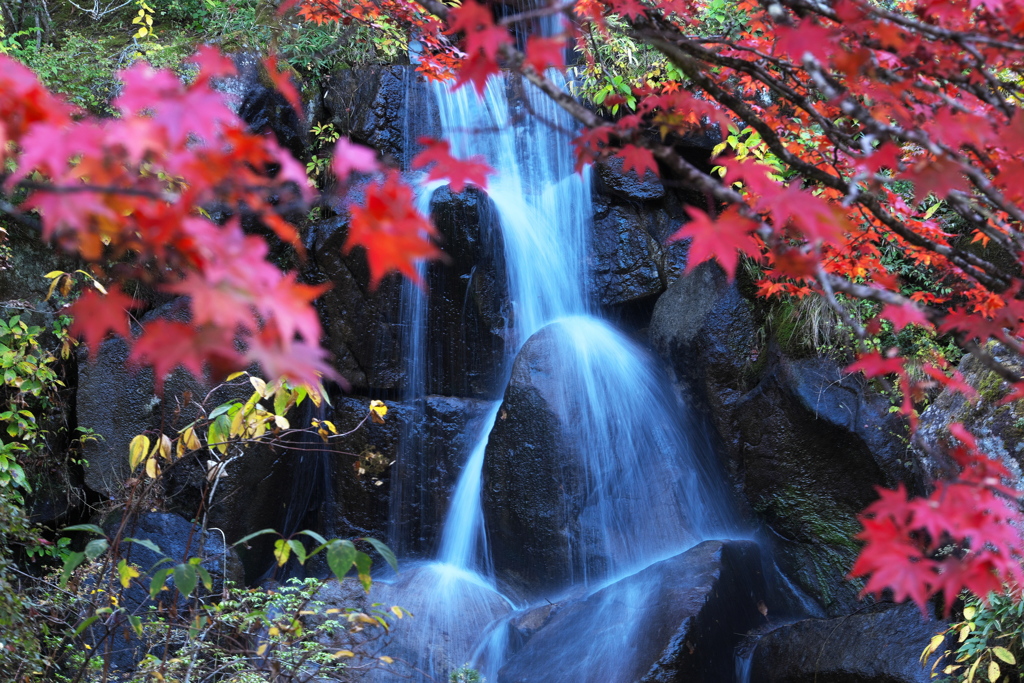 古峯園の秋♪5